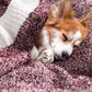 NEXHOME PRO Soft Twin Blankets for Couch, Reversible Warm Blankets Cozy Knit Blanket for Women, Fuzzy Plush Lightweight Throws for Sofa, Bed, Picnic, Wine 60 x 80 inches