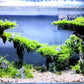 Fish Tank Decor Rocks.Aquarium Decoration Model.Easy and Quick Solution for Aquascaping.(Twilight)