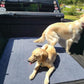 Washable Pee Pads for Dogs 65"x45"/72"x72" Extra Large Reusable Pee Pads Waterproof Pet Mat, Dog Playpen Mats for Puppy Training Whelping Playpen Pads