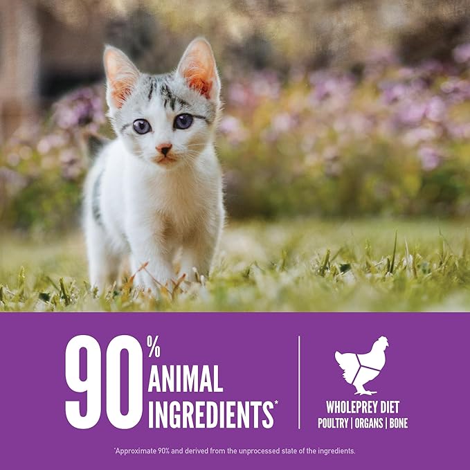 ORIJEN Grain Free High Protein Premium Dry Cat Food Kitten Recipe 7lb Bag