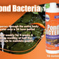 Pondworx Pond Bacteria - Concentrated & Formulated for Water Features - Safe for Koi - 16 Ounces & Treats up to 2,500 gallons of Water