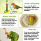 kathson 5Pcs Bird Coconut House with Ladder Parakeet Coconut Nest for Cages Parrot Hut Hanging Natural Coconut Fiber Conure Chewing Toys for Cockatiel Budgie Lovebird Cockatoos