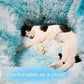 XxingSheep XL Cat Tunnel with Bed for Indoor Cats Peekaboo Cat Cave Donut Toy with Warm Mat,Azure Blue