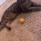 50-Pack Soft Cat Toy Balls – Fun Playtime & Exercise for All Cats (1.5 inch, Cat Toys Mega Set)