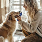 YABIFE 7-Speed Pet Nail Grinder with Light – Heavy Duty, Whisper Quiet Nail Trimmer for Dogs, Cats, Birds & Small Animals – Single-Handed Operation