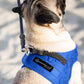 Comfort Fit Dog Harness No Pull with 2 Leash Clips Step in Harness for Small Sized Dogs Soft Padded Comfortable All Weather Dog Vest with Easy Control Adjustable Buckles for Dogs & Puppies – Blue XS