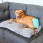 Pet Parents® Washable Dog Diapers (3pack) + Extendrs® of Durable Doggie Diapers, Premium Dog Diapers Female (Small, Southern Belle)