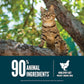 ORIJEN Guardian 8 Grain Free High Protein Premium Dry Cat Food 10lb Bag