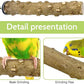 BNOSDM Natural Wood Bird Ladder Perch 6Pcs Parrot Stand Branches Climbing Chewing Stick Parakeet Swing Toys Cage Accessories Paw Grinding Fork Sets for Lovebirds Cockatiels Conure Budgies