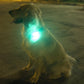LED Safety Light (2 Pack) - Clip On Strobe/Running Lights for Runners, Dog, Bike, Walking, Boat, Kayak, Stroller and More - High Visibility Accessories for Your Reflective Gear, Bicycle