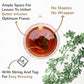 BREWIX, Peach Black Tea (25 Pyramid Bags) | Premium Black Tea with Peach | Floral & Refreshing | Iced or Hot | Caffeinated And Sugar-Free