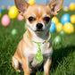 PET SHOW 10 Pack Easter Small Dog Ties Neckties for Doggies Cats Adjustable Holiday Grooming Accessories Neck Ties Bowties Girl Boy Pets Festival Costumes Puppy Wedding Party Gift Favor