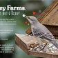 Valley Farms Fruit Nut & Berry Wild Bird Food for Outside Feeders, Bird Seed with Dried Fruit, Peanuts, Sunflower, and Safflower, High Energy Mix for Healthy Birds! (15 LBS)