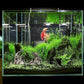 Novelsite Fish Tank Decor- Jagged Canyon Rock Formation ，Made of Solid Sandstone，Suitable for a Variety of Fish Tank Scenes, DIY Planting Moss, Safe and Non-Toxic