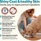 Dave's Pet Food Sensitive Skin Dog Food for Skin and Coat (Chicken & Sweet Potato), Wet Canned, Made in USA, 13.2oz Cans (12 Pack)