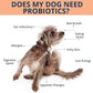 NOVEHA Probiotic Chews for Dogs | Ultimate Gut Health & Digestive Support | for Healthy Skin & Coat | Relieves Itching & Paw Licking | Probiotics for Pet Dogs with Allergies (180 Chews 2-Pack)