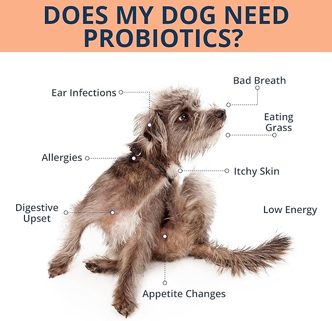 NOVEHA Probiotic Chews for Dogs | Ultimate Gut Health & Digestive Support | for Healthy Skin & Coat | Relieves Itching & Paw Licking | Probiotics for Pet Dogs with Allergies (180 Chews 2-Pack)