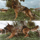 OneTigris No Pull Tactical Dog Harness for Medium Dog, Aire Mesh Dog Vest Harness, Breathable Military Molle Vests with Handles, Service Dog Vest for Walking Hiking Training (M, Brown)