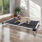 FXW TitanNest Chew-Proof Elevated Dog Bed, Raised Cot for Indoor/Outdoor/Camping Use, Durable & Waterproof Cooling Pet Bed for Small Dogs, 36.0" L x 24.0" W x 4.5" H, Black