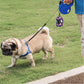 Attachment,Waste Bag Dispenser Zippered Pouch, Fits Any Leash, Includes Free Roll of Dog Bags, Poop Bag Dispenser - 2 Packs, Little Dinosaurs