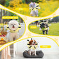 Adjustable cat Cone Collar Soft to Stop Licking After Surgery for Kitten, Alternative to Cone of Shame cat, Donut Cone for Cats, pet Elizabethan Collar (Bee, Small)