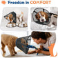 Dog Cone Collar to Stop Licking: Breathable Mesh Elizabeth Recovery Collar Alternative with Soft Padded After Surgery Neuter Spay Wound, for Large Medium, Small Dogs, Normal Eating and Drinking