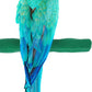 Comfort Grip Safety Perch for Bird Cages - Pedicure Perch for Birds to Keep Nails and Beaks in Top Condition - Safe Easy to Install Bird Cage Accessories - L 13"