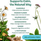 Wholesome Pride Calming Supplement for Dogs - 90 Soft Chews - Natural Anxiety Relief, Separation & Noise Stress Support with Herbal Ingredients, No Melatonin, Non-Drowsy