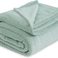 Bedsure Sage Green Fleece Blankets Queen Size - 280GSM Soft Lightweight Plush Cozy Blanket for Bed, Sofa, Couch, Travel, Camping