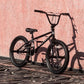 Freestyle BMX Bike, 18 20 Inch Kids Bicycle for 5-13 Years Old Kids and Beginner Level Rider, Multiple Colors