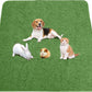 Washable Pee Pads for Dogs, Extra Large Reusable Dog Pee Pad, Waterproof Pet Mat, Dog Playpen Mats for Puppy Training Whelping Playpen Pads