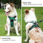 Taglory Light Up Dog Harness, Rechargeable No Pull Dog Vest with 3 Lightning Modes, Reflective Dog Harness with 2 Leash Clips & 4 Adjustable Slide Strips for Large Dogs, Turquoise-Green, L