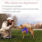 Comfort Fit No Pull Dog Harness – Adjustable Step-in Vest for Small, Medium & Large Dogs, Soft Padded with Leash Clips, Reflective Straps & Handle