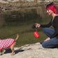 Dog Doo Tube Filled Dog Waste Bag Holders - Reusable Dog Poop Bag Tubes Designed to Keep in Odors and Germs