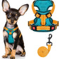 MIDOG No-Pull Dog Harness | Adjustable & Reflective Pet Harness Leash Set for Small Medium Large Dogs Walking, Training| No Choke, Front Clip, Soft Padded Vest with Easy Control Handle - Blue, XS
