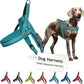 DOCO No-Pull Dog Harness Halter Reflective Easy-Control Harness for Training, Walking, and Preventing Pulling, Ideal for Medium Dogs(Turquoise)