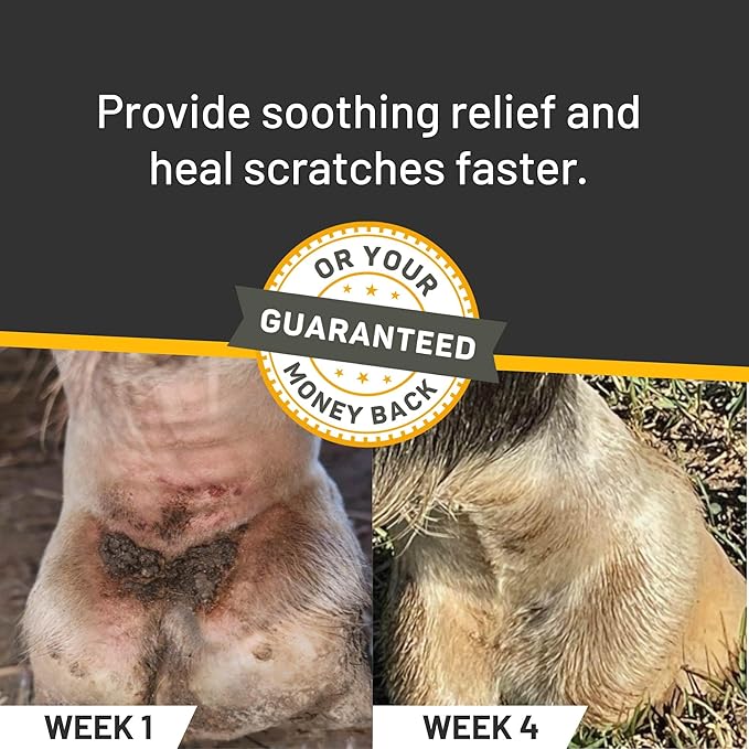 Silver Honey Rapid Relief 6oz Spray for Horses Only, Use on Equine Scratches / Pastern Dermatitis / Mud Fever / Dew Poisoning / Cracked Heels