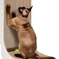 EHEYCIGA Cardboard Cat Scratcher for Indoor Kitten Cats, 19 Inch L Shaped Vertical Cat Scratching Board with Ball Cat Toy, Small Cat Scratcher Pad, White