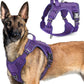 rabbitgoo Tactical Dog Harness for Large Dogs, No Pull Military Service Vest with Handle & Molle, Easy Control for Training Walking, Adjustable Reflective Straps, Purple, XL