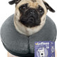 Soft Inflatable Dog Cone Collar Alternative After Surgery - Dog Neck Donut E Collar for Large Medium Small Dogs Cats Post Surgery - Recovery Collar to Stop Licking - Grey, L