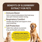 Cough Medicine for Dogs & Cats, Respiratory Infection Support - Sneezing Relief & Kennel Cough Treatment - Pet Asthma Support - Made with Natural Ingredients in The USA (4oz)