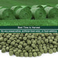 Timothy Hay Cubes 60 oz (6 * 10 oz) with Small Size - Timothy Grass Pellets for Tortoises Rabbits Guinea Pig Chinchilla
