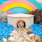 Niteangel Birch Chamber-Maze Hamster Hideout - Small Pets Woodland House Habitats Decor for Hamster Mice Gerbils Mouse