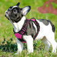 Eagloo Dog Harness Small Sized Dog, No Pull Service Vest with Reflective Strips and Control Handle, Adjustable and Comfortable for Easy Walking, No Choke Pet Harness with 2 Metal Rings, Rose Red, S
