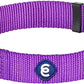 Blueberry Pet Essentials Matching Large Dog Collar | Adjustable Classic Solid Color Nylon Dog Collars for Large Dogs | Dark Orchid Dog Collar for Large Dogs