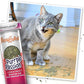 Meowijuana Purrple Passion Cat Nip - Premium Organic Blend of Catnip for Cats & Silvervine, Stimulates Playful Behavior, 26g, Natural Wellness Gift for Cat Lovers