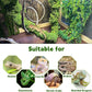 BNOSDM Reptile Plants,Flexible Rainforest Vines with Moss,Bendable Jungle Climbing Vines,Terrarium Artificial Plants Decor for Bearded Dragon,Hermit Crab,Snake,Geckos,Chameleon,Lizard