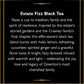 The Republic of Tea — Downton Abbey The Grantham Farewell Cup Black Tea, 36 Tea Bags