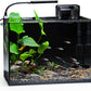 NICREW 2.5 Gallon Nano Nature Aquarium Kit, Ultra-Clear Rimless Desktop Fish Tank with Light, Filter, Gravel and Rock, Perfect for Small Fish, Shrimp, or Betta, Complete Version, Black