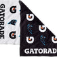 Gatorade Carolina Panthers Towel, 21" x 39”